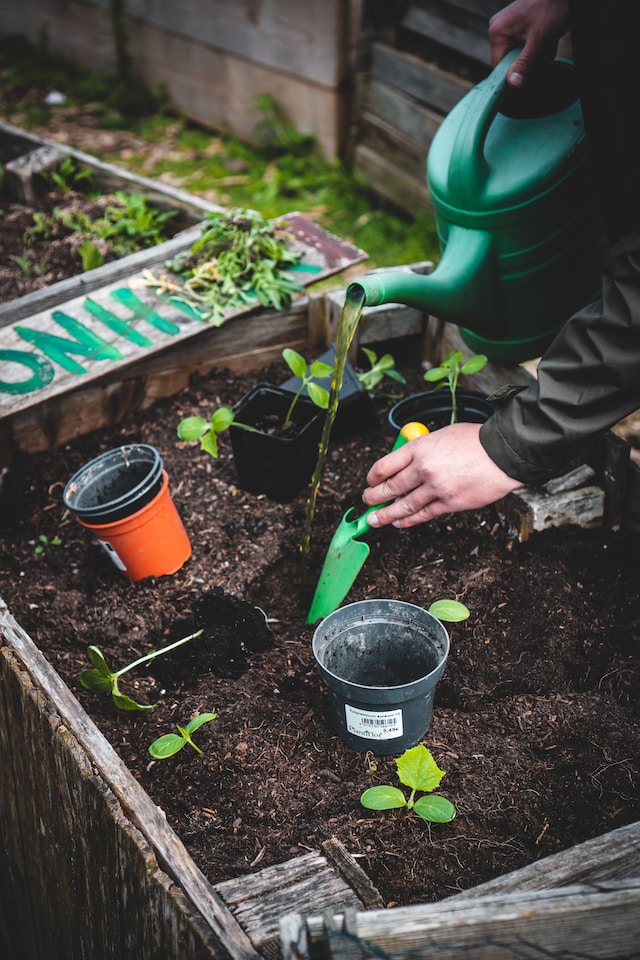 La décoration d'un jardin urbain