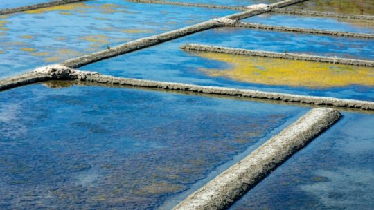 Quels secrets cachent les marais salants de France ?