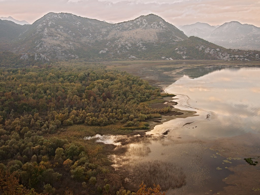 Lac Skadar