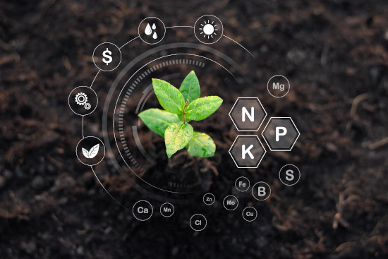 L'introduction judicieuse d'activateurs de compost 