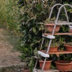 escabeau sécurisé pour le jardin