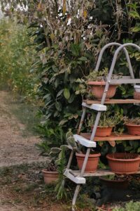 escabeau sécurisé pour le jardin
