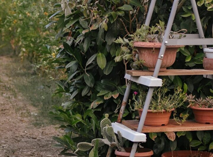escabeau sécurisé pour le jardin