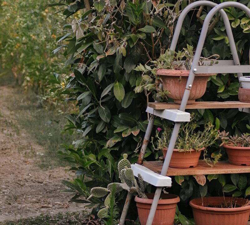 escabeau sécurisé pour le jardin