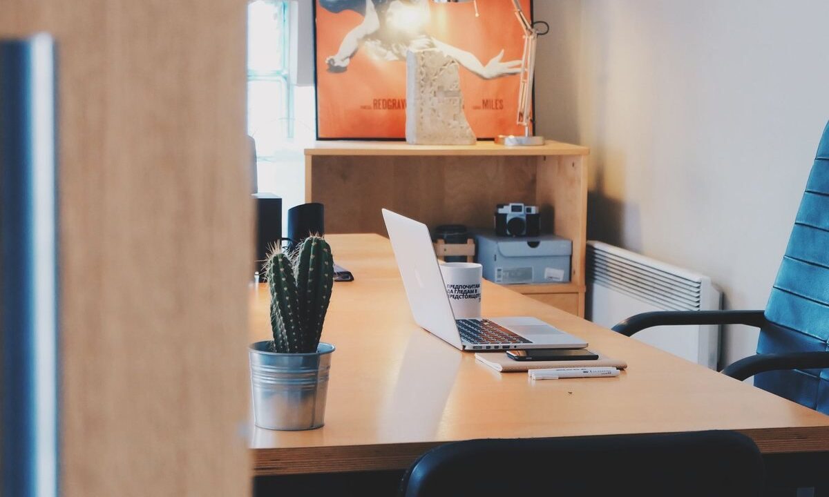 Un bureau avec ordinateur, cactus, chaise et tableau mural